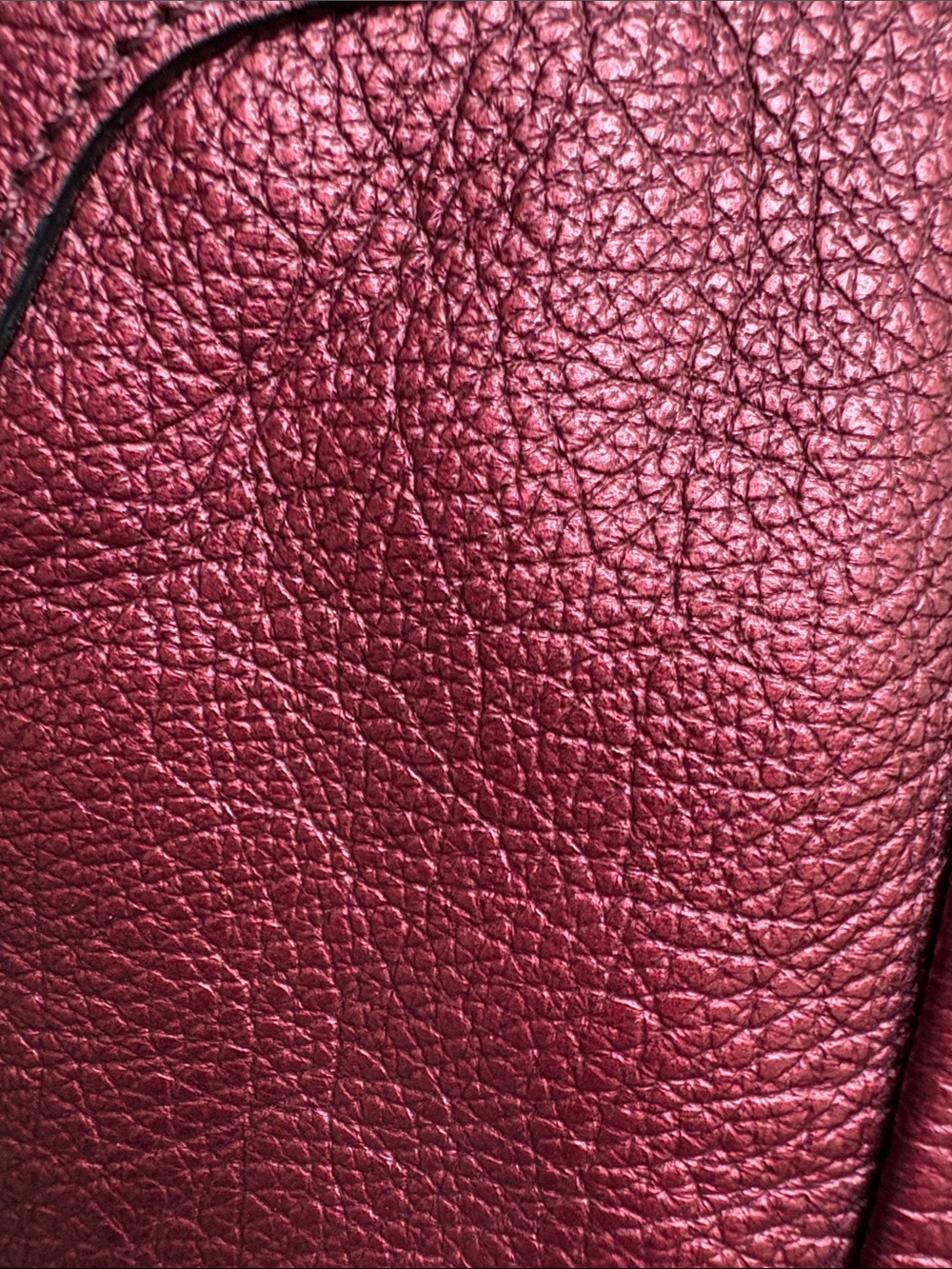 Large Coach Metallic Tote - Picture 11 of 11
